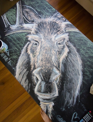 moose chalk