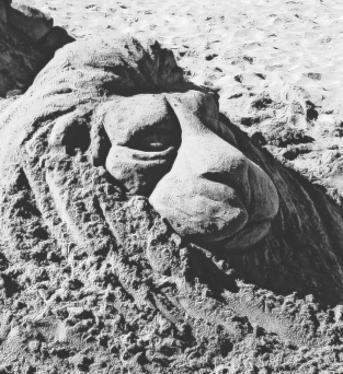 Lion_Sand Sculpture